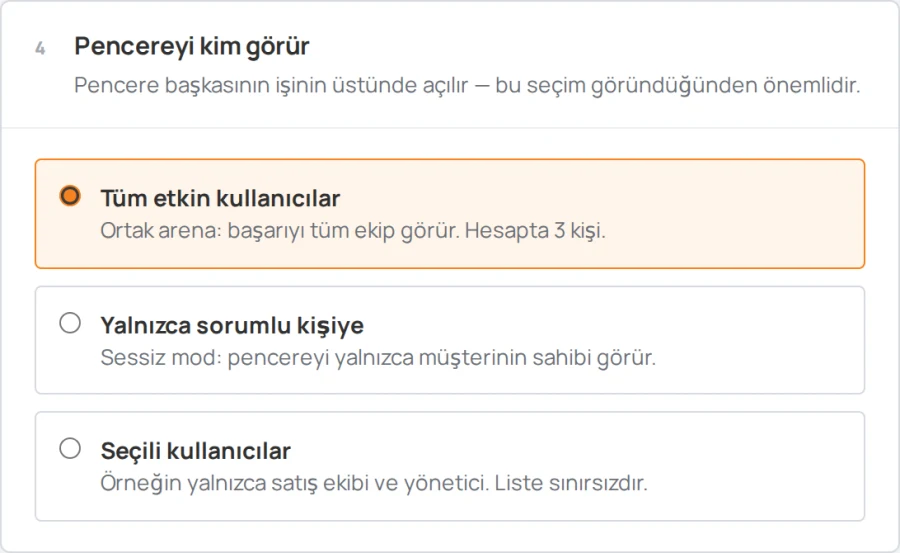 Sales Arena ayarları, «Pencereyi kim görür» bölümü: tüm ekip, sorumlu ya da seçilen kişiler